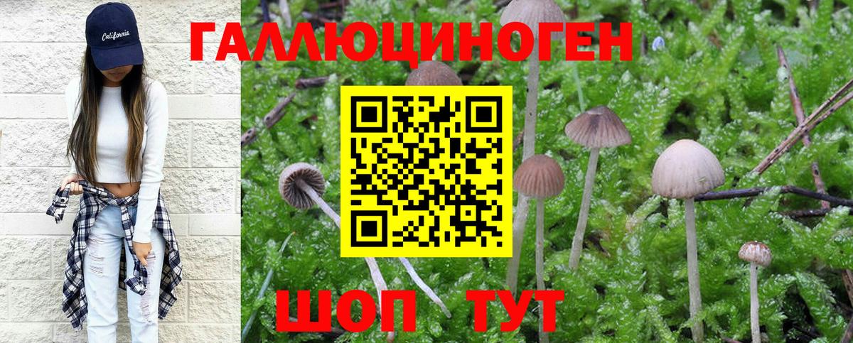 Псилоцибиновые грибы мухоморы Ярцево