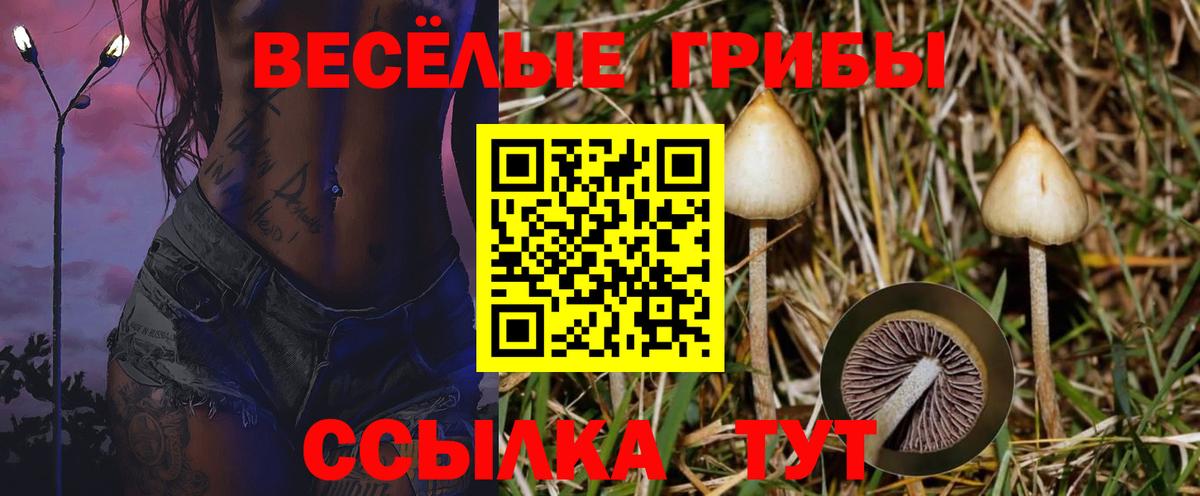 Ярцево  Галлюциногенные грибы ЛСД  Вход с VPN 